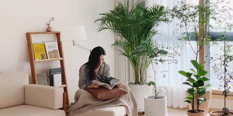 7 Bí Quyết Trải Nghiệm Sống Tối Giản Hiệu Quả Để Sống Khỏe Mỗi Ngày